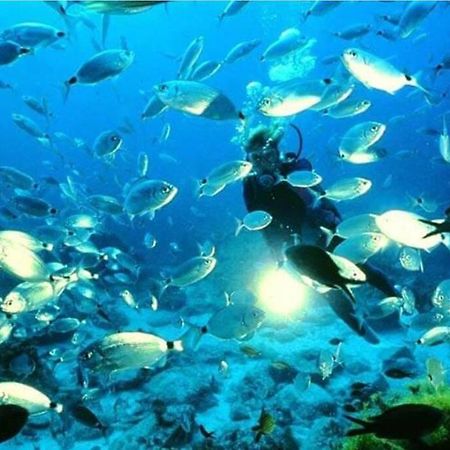 Bajo Playazo Jimena 6 Lägenhet Nerja Exteriör bild