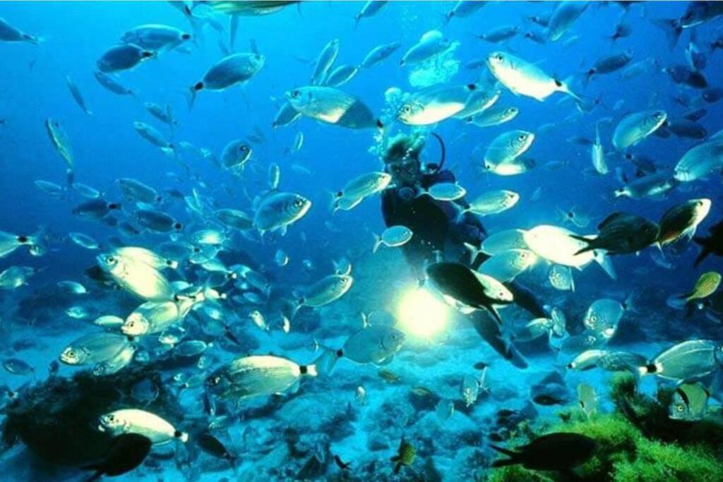 Bajo Playazo Jimena 6 Lägenhet Nerja Exteriör bild